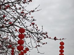 -南海神庙