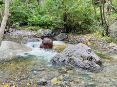 -云岫谷游猎自然风景区