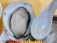 肥肥的生蚝-蚝专家(北滘店)