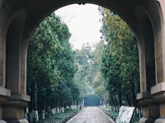 -灵谷景区