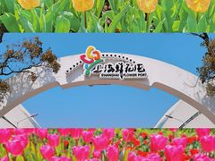 -上海鲜花港