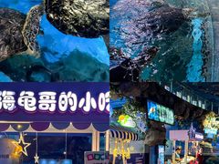 -烟台海昌鲸鲨海洋公园