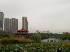-青城公园