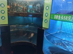 -千岛湖小鱼儿·淳安匠心农家菜