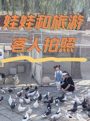 夏天享受大自然的美好阳光浴，带娃去喂鸽子。