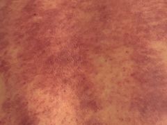 -尚康·按摩SPA·经络养生会所(东城总店)