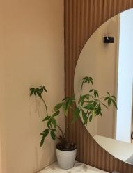 -苗方清颜•痘肌问题肌专研