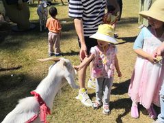 -前小桔亲子创意农场·草莓采摘·露营烧烤