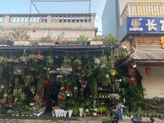 -溪岸路花鸟市场