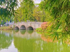 -中国科学院华南植物园