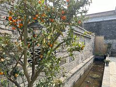 -恋山坝上草原