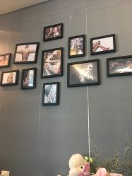 -明星刺青·洗纹身