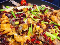 -老板恋上鱼(恒隆广场店)