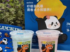 -四川大学(望江校区)