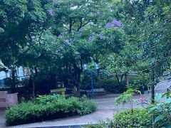 -九龙公园