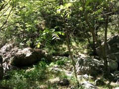 -云岫谷自然风景区