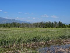 -野鸭湖国家湿地公园