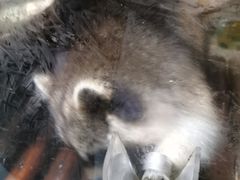 -哈尔滨波塞冬海底世界