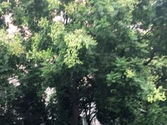 -老崔的面馆(玉函路店)