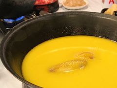 浓厚原只鸡煲花胶汤-鲜入围煮花胶鸡海鲜火锅