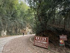 -上海佘山国家森林公园西佘山园