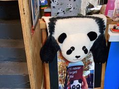 -熊猫一间店(仙林大道店)