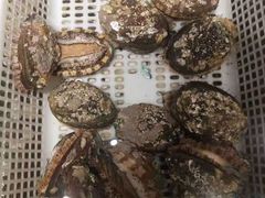 -郑庄脂渣海鲜楼(九水路店)