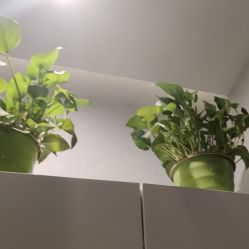 -嫒多泉产后健康管理中心(沙坪坝三峡广场店)