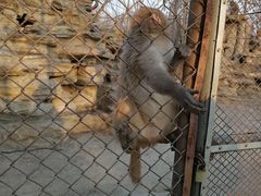 -廊坊市自然公园