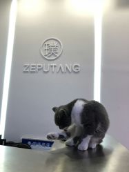 -泽璞堂美发沙龙