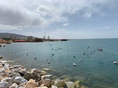 -青海湖国家重点风景名胜区