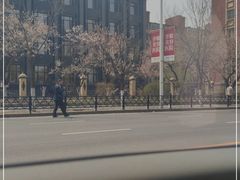 -玉佛苑