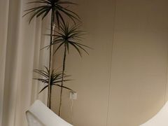 -鲸落SPA(番禺长隆店)