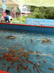 -萌宠亲子动物乐园(槐房万达店)