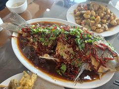 -微山岛春天里酒家