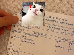 -泰康拜博口腔(世博园乐尔店)