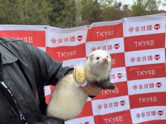 -帝京日语(春熙路旗舰校区)