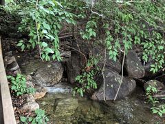 -大岭沟猕猴桃谷风景区