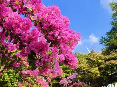 -杭州城北体育公园