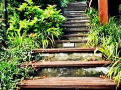 -杭州西湖风景名胜区-满觉陇四眼井