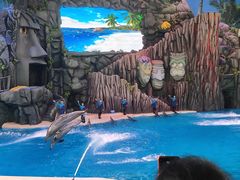 -珠海长隆海洋王国