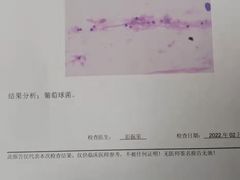 -安安宠医·安烨宠物医院·宠物保险(北仑分院)