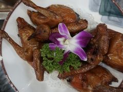 -鸽鸟轩(石岐店)