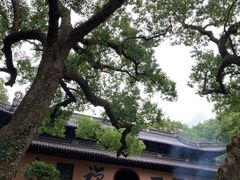 -普陀山风景名胜区-法雨禅寺