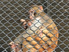 -长白岛森林公园