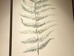-沐善人家中医·推拿·理疗·三伏灸(新洲店)