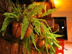 -中8楼风尚云南菜(颐堤港店)