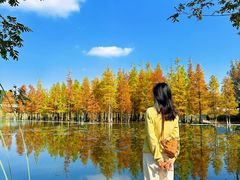 -白鹭湾湿地公园