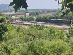 -白水寺森林公园
