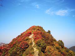 -秦岭风景区